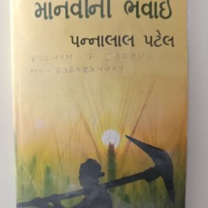 Manvi ni Bhavai-Gujarati Novel